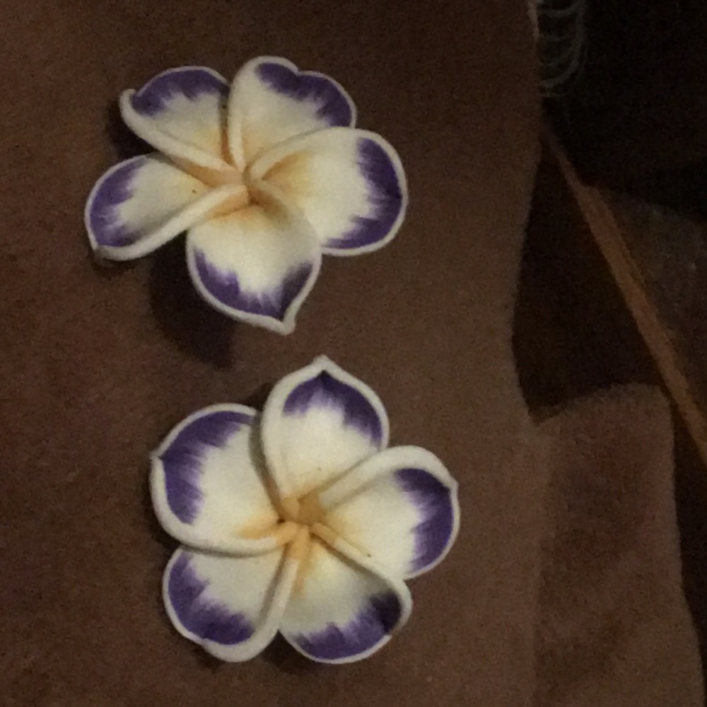 Cute Dominican earrings🇩🇲❤️♾